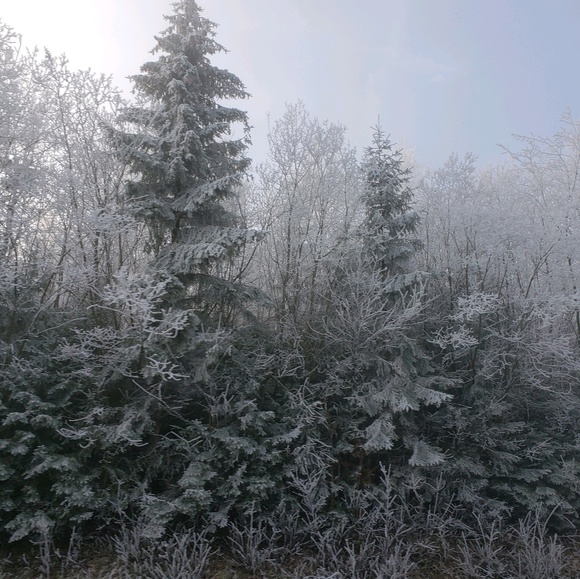 Meet your Posher, Linds - Picture 1 of 1